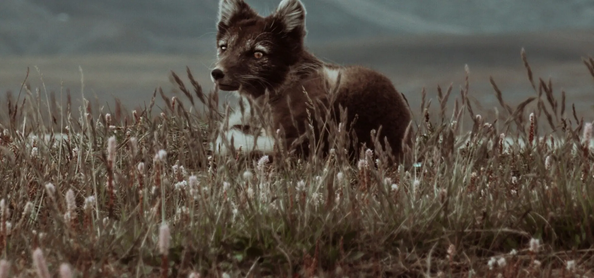 1765372659681sebastian bjune bbbubpy9sf4 unsplash