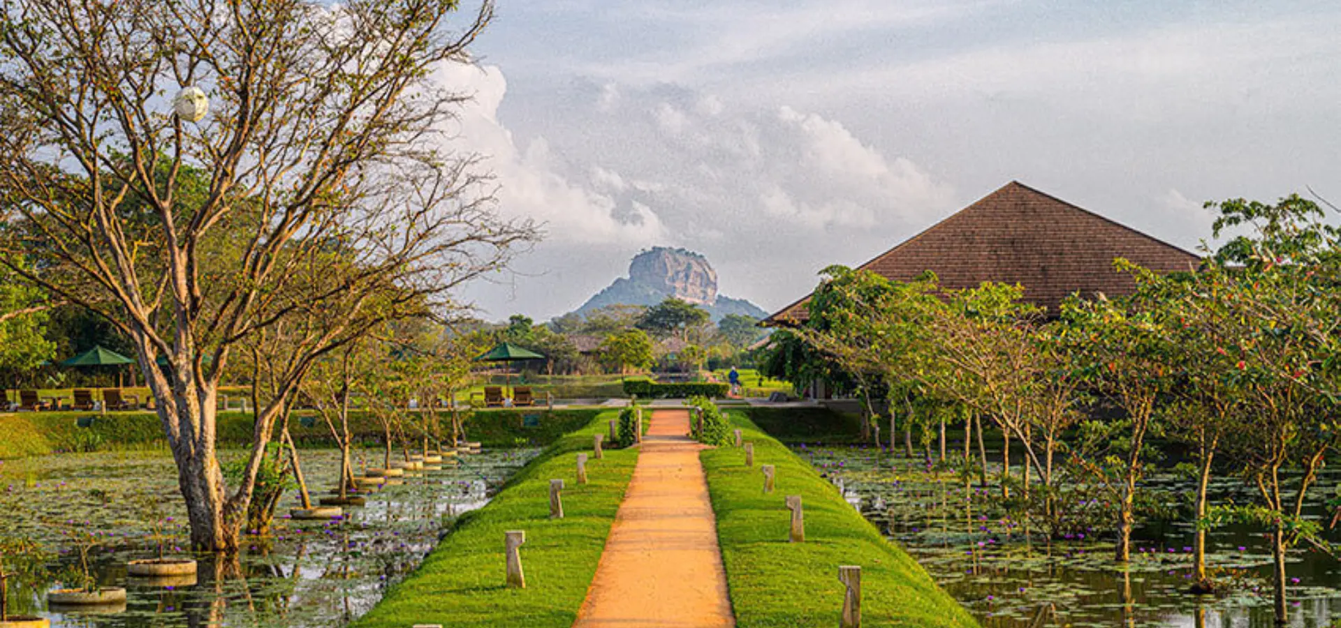 Watergarden 1
