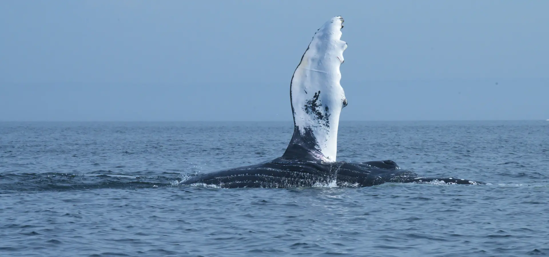 1741965983382 karl heinz muller g J6umeq Hd4 I unsplash