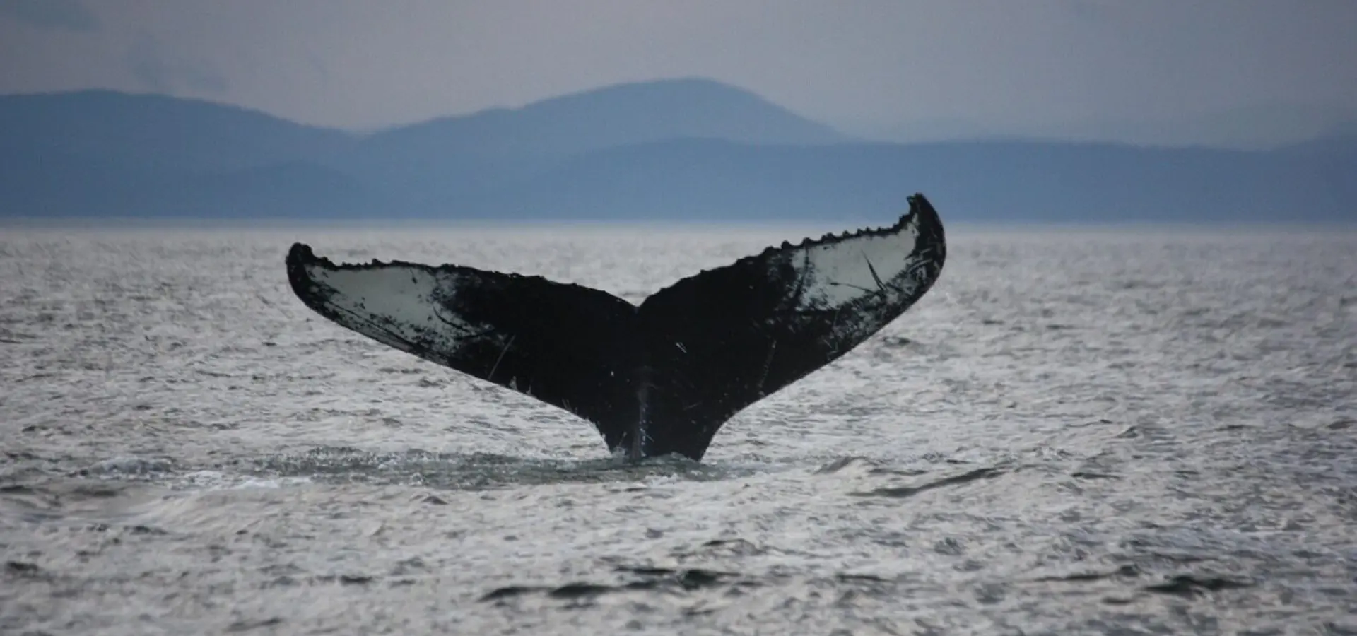 1741965983381 tadoussac 5105076 1280