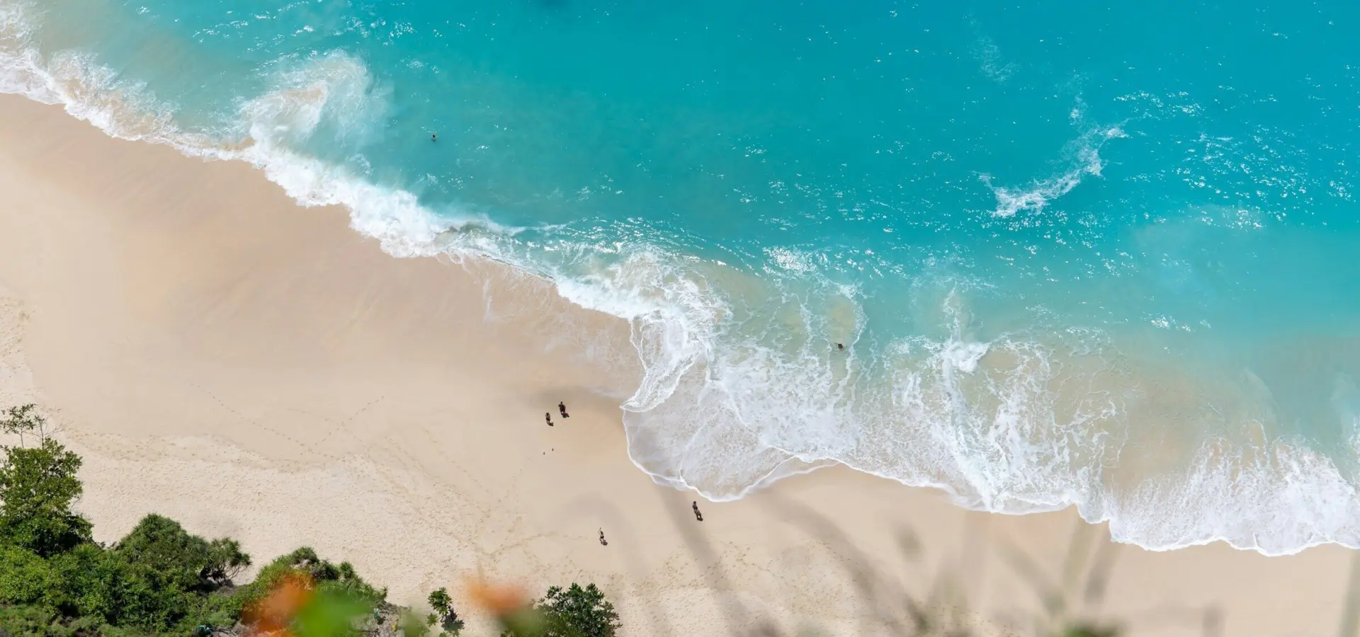 1774262889735mahosadha ong 9ivbeaivryw unsplash