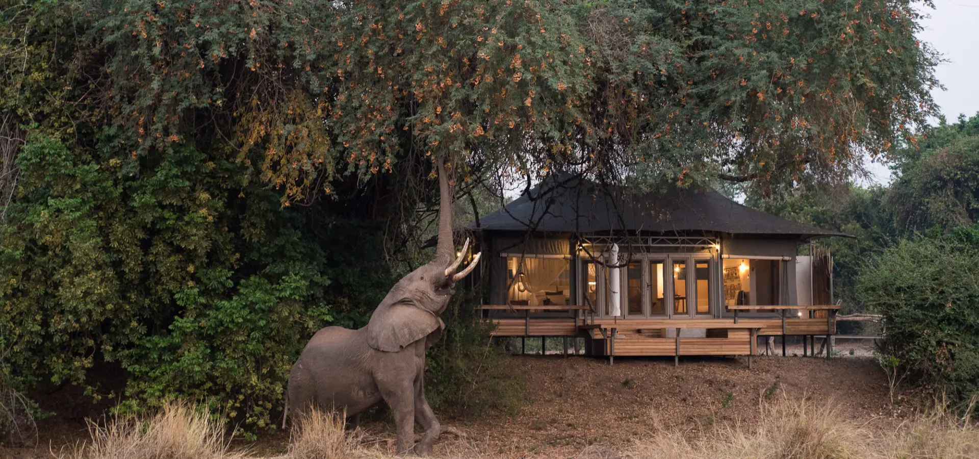 Chikwenya wildlife 2000px kyle and ruth 234 of 334