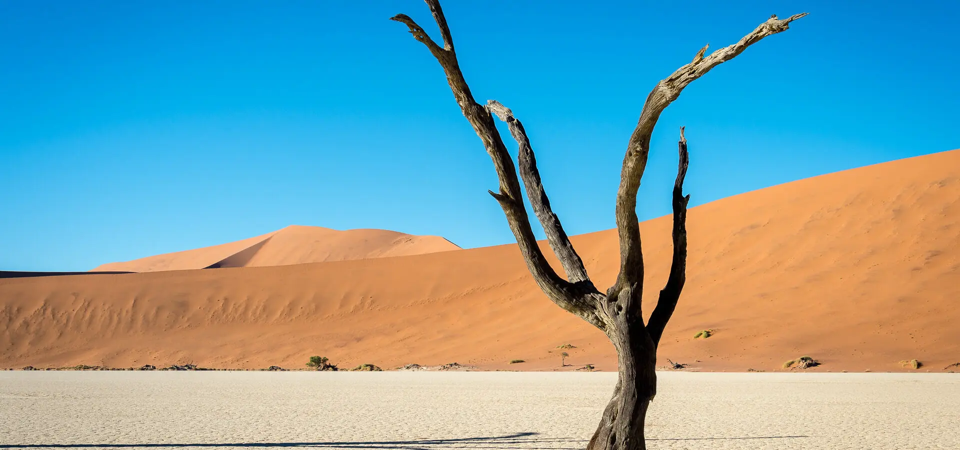 Kulala Namib 2014 12 171e