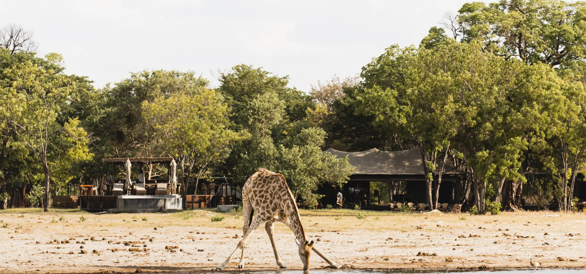 2 mainareas mainareas r61 0440 toned