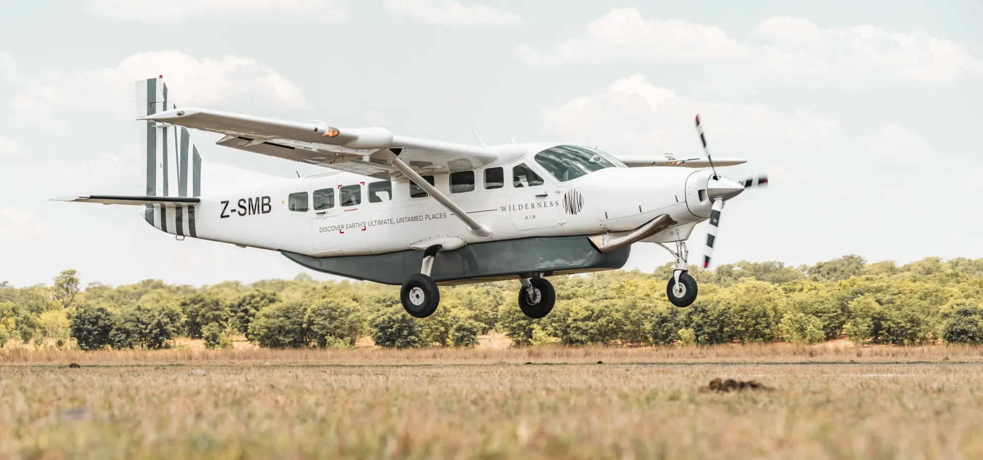 Olco x wilderness 193 resize