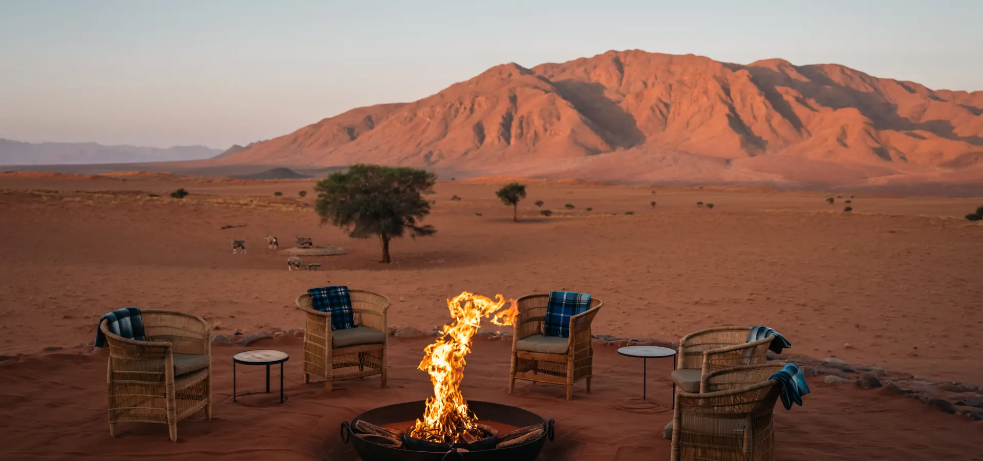 1736924235890 WOLWEDANS Dune Camp Fireside Observe desert comings and goings in good company