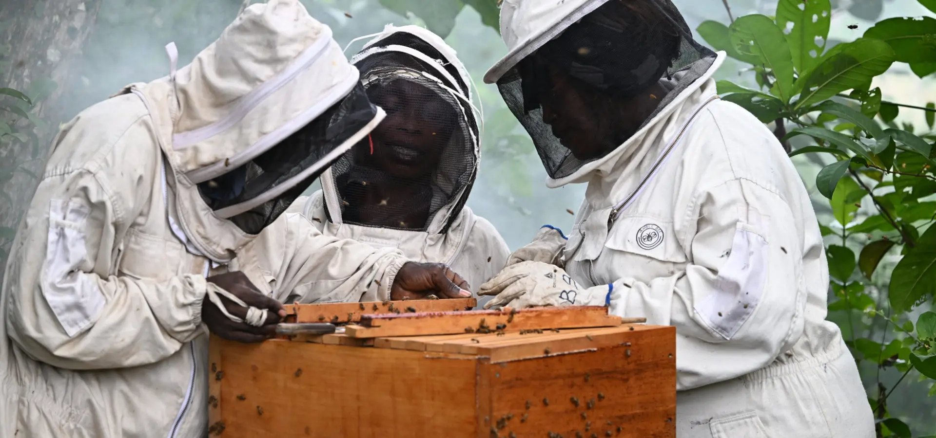 1765964306519dsc3570