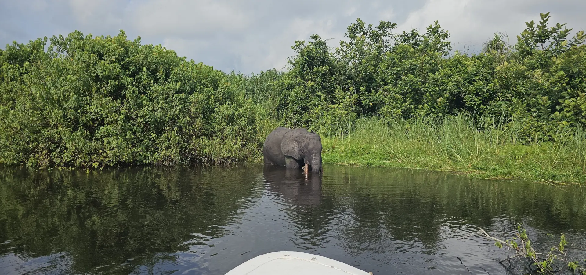 1765965021882akaka river loango