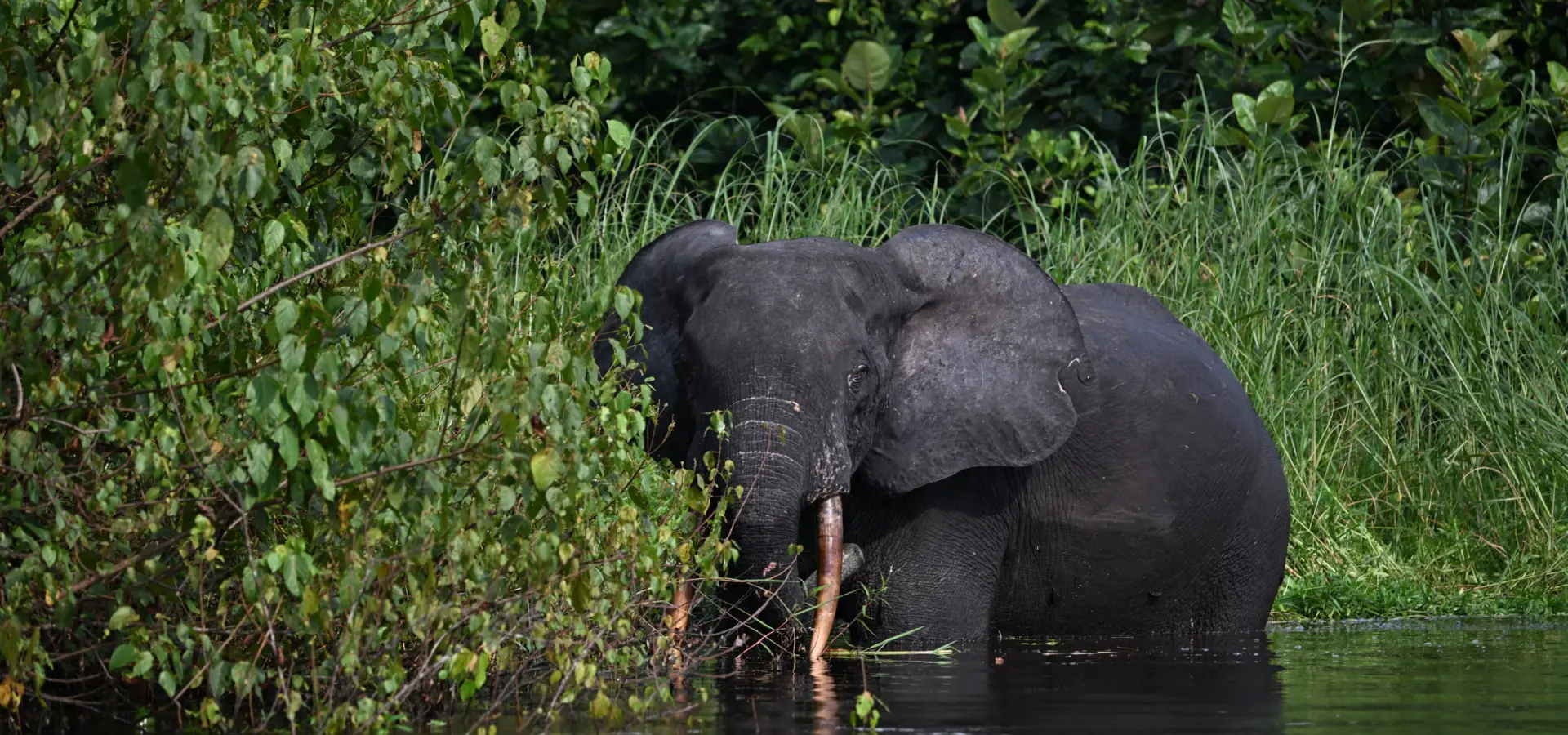 1765965445711dsc2606