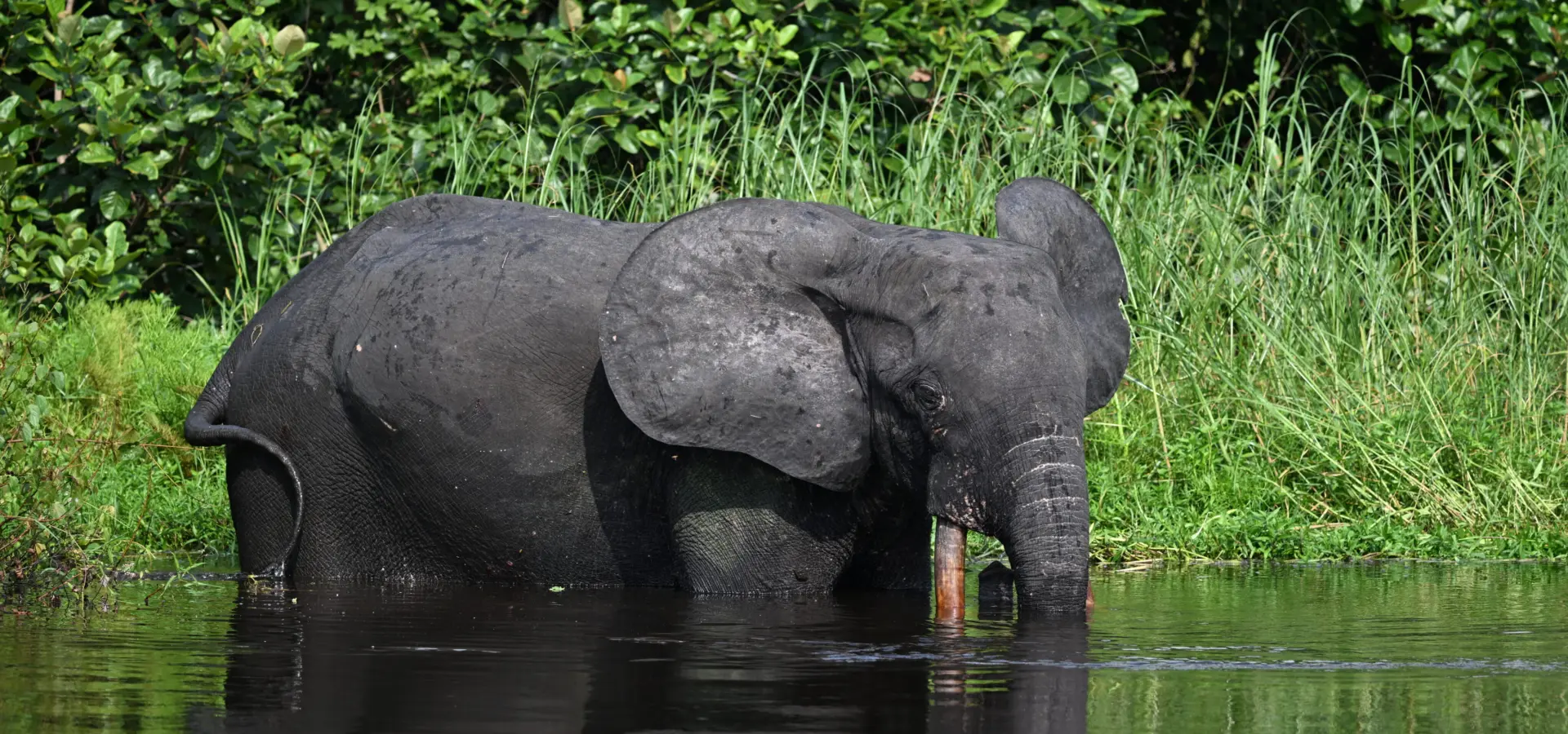 1765965589558dsc2668