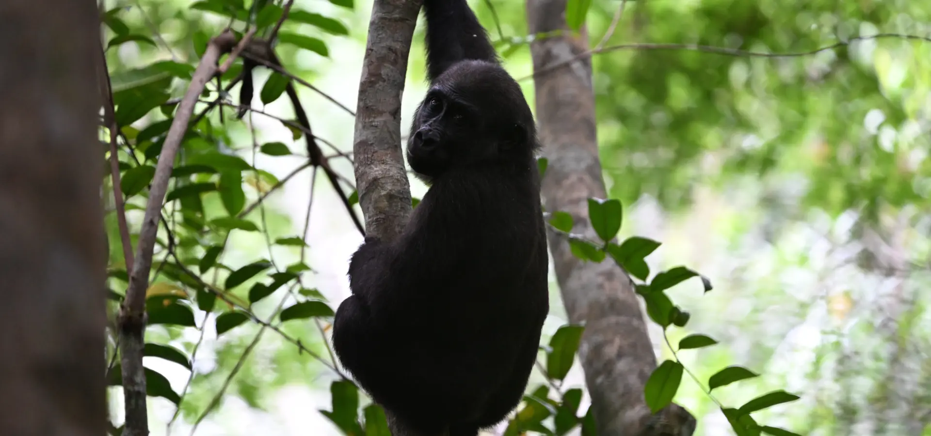 1765965589557dsc2195