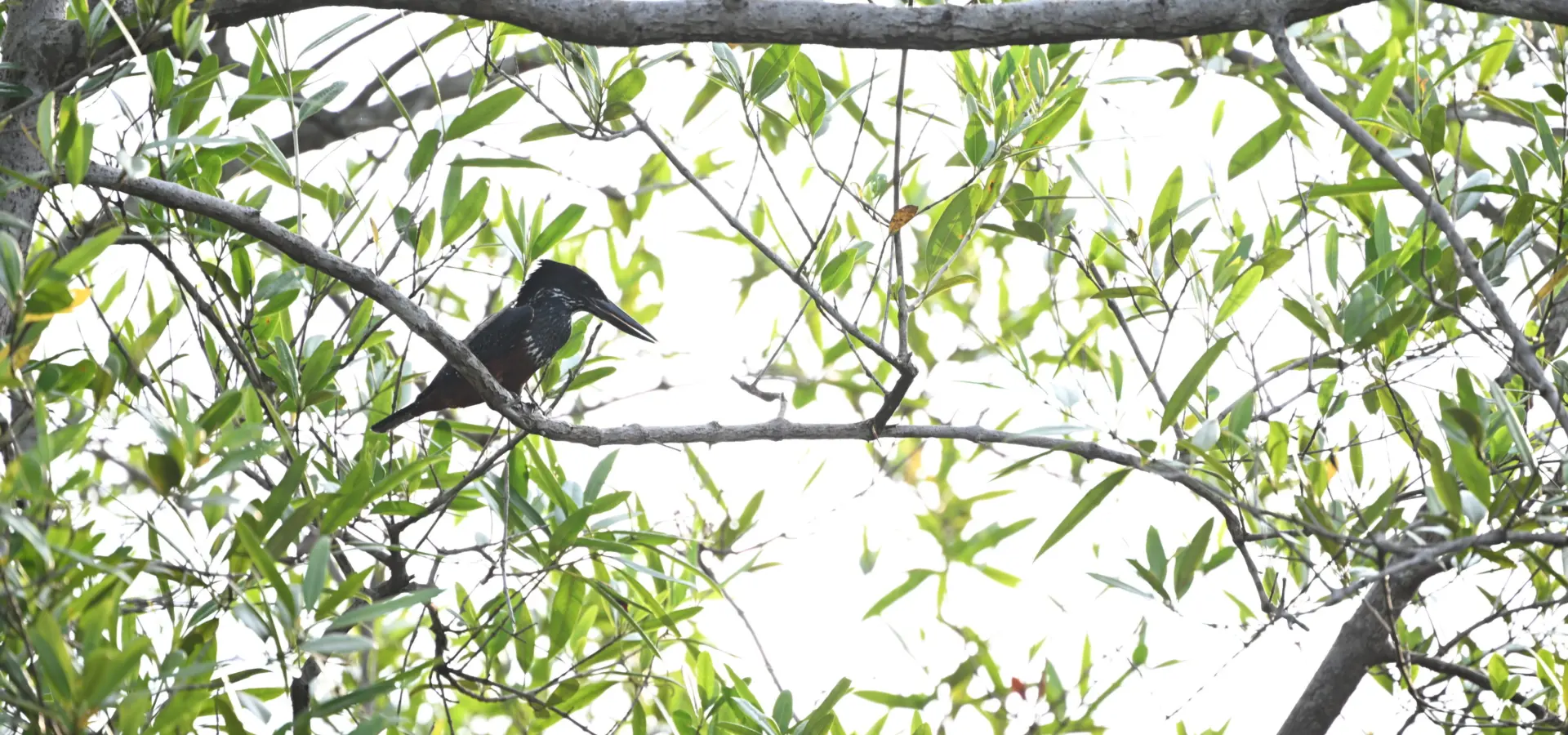 1765965589558dsc2914