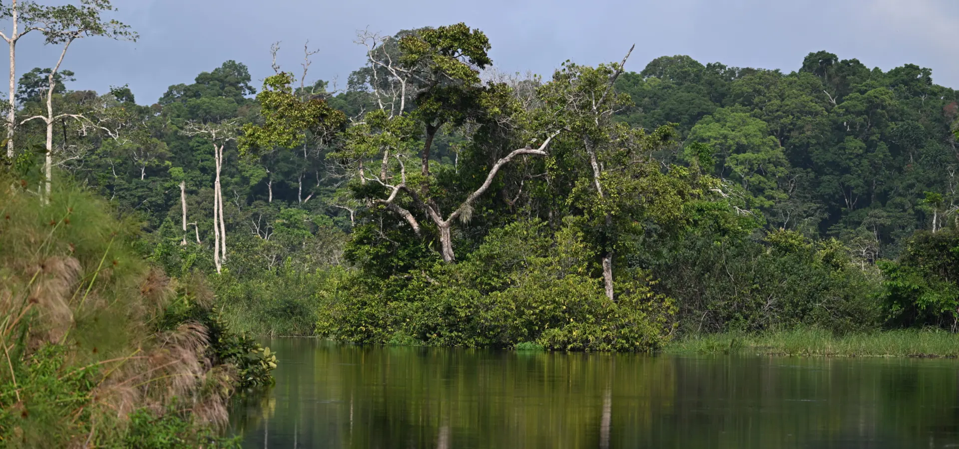 1765964594618dsc2602