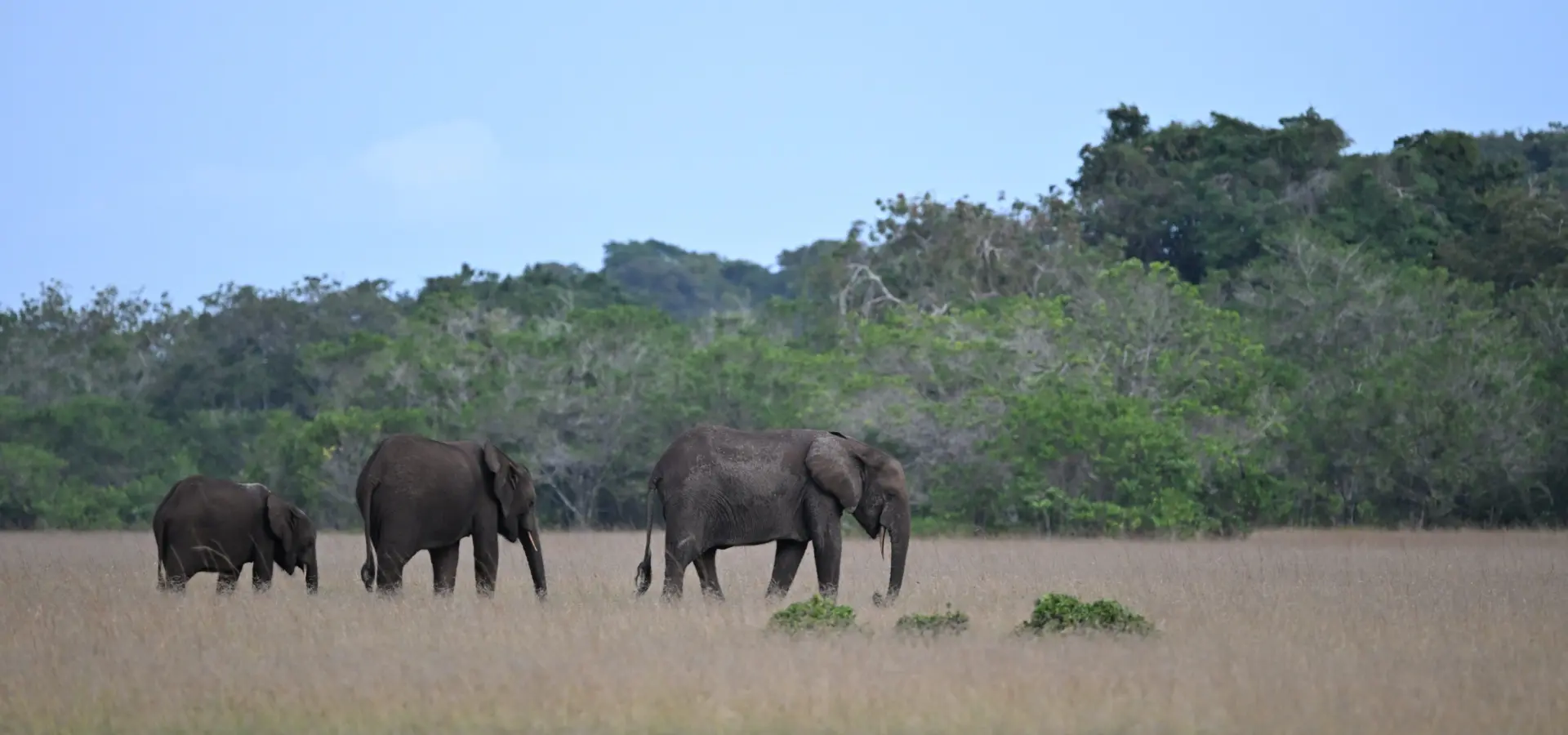 1765964594616dsc1798