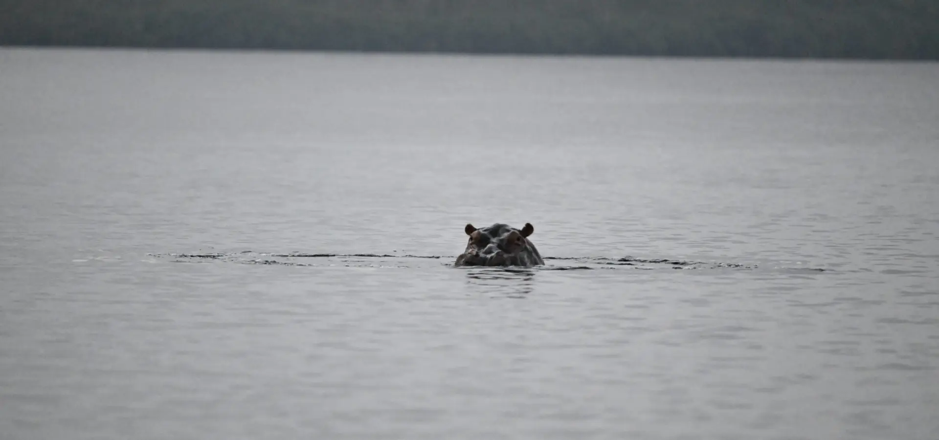 1765964594617dsc2585