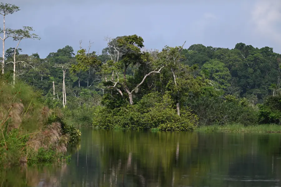 1765964594618dsc2602