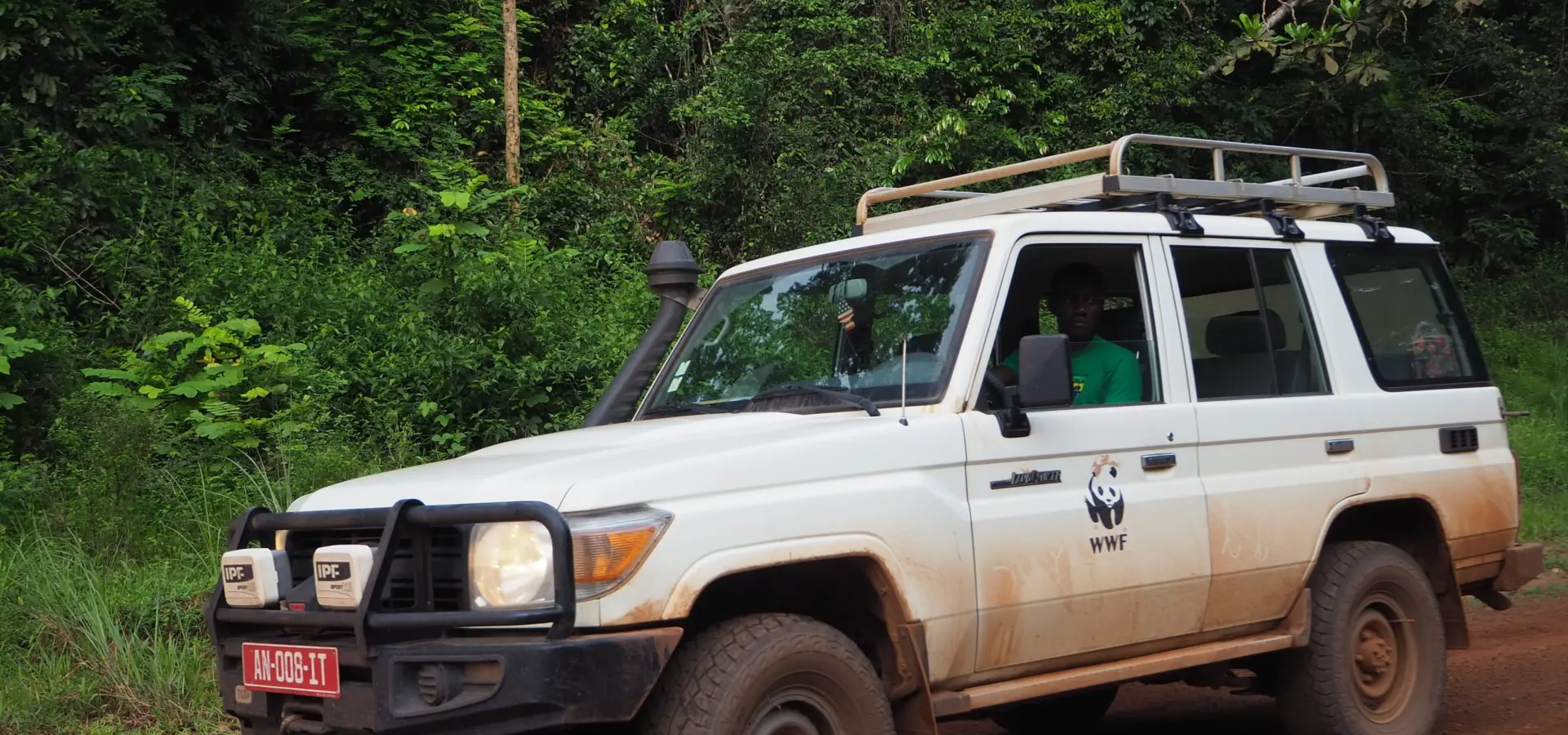 1765966136864p1290006