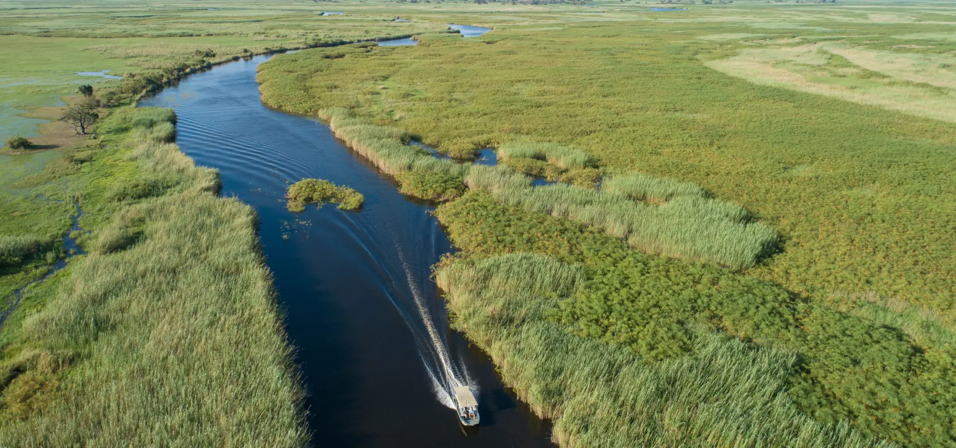 Xaro 2019 feb other 21