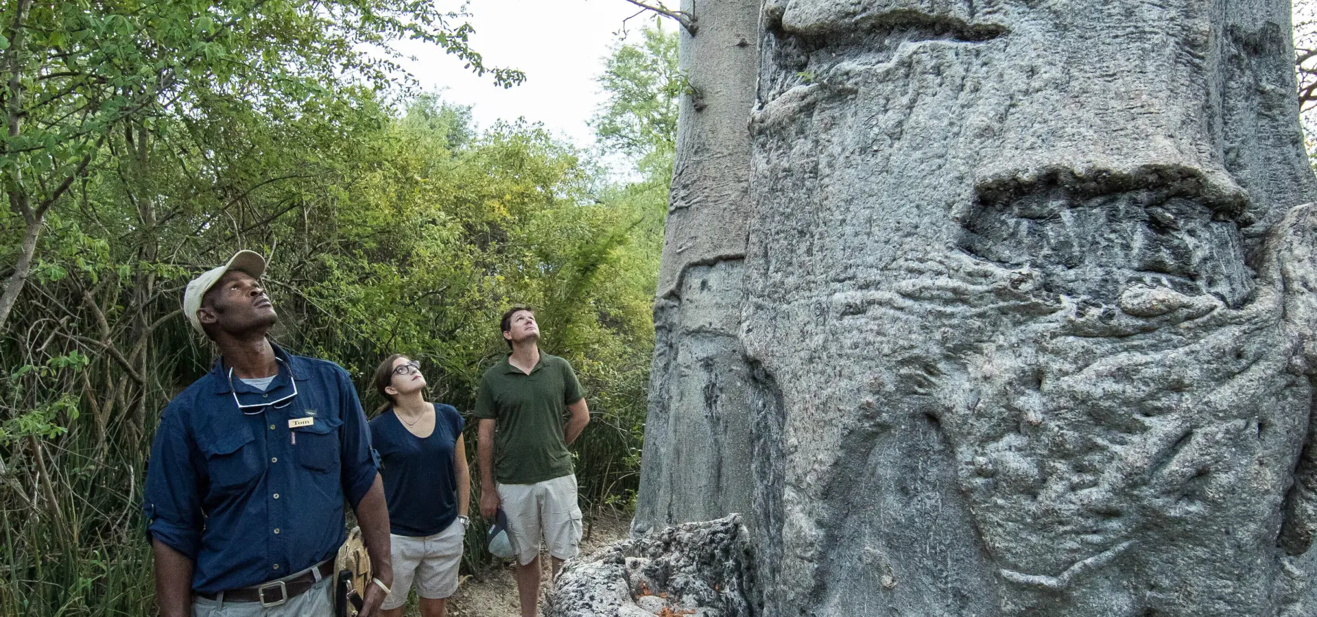 Xaro 2019 feb walk 5