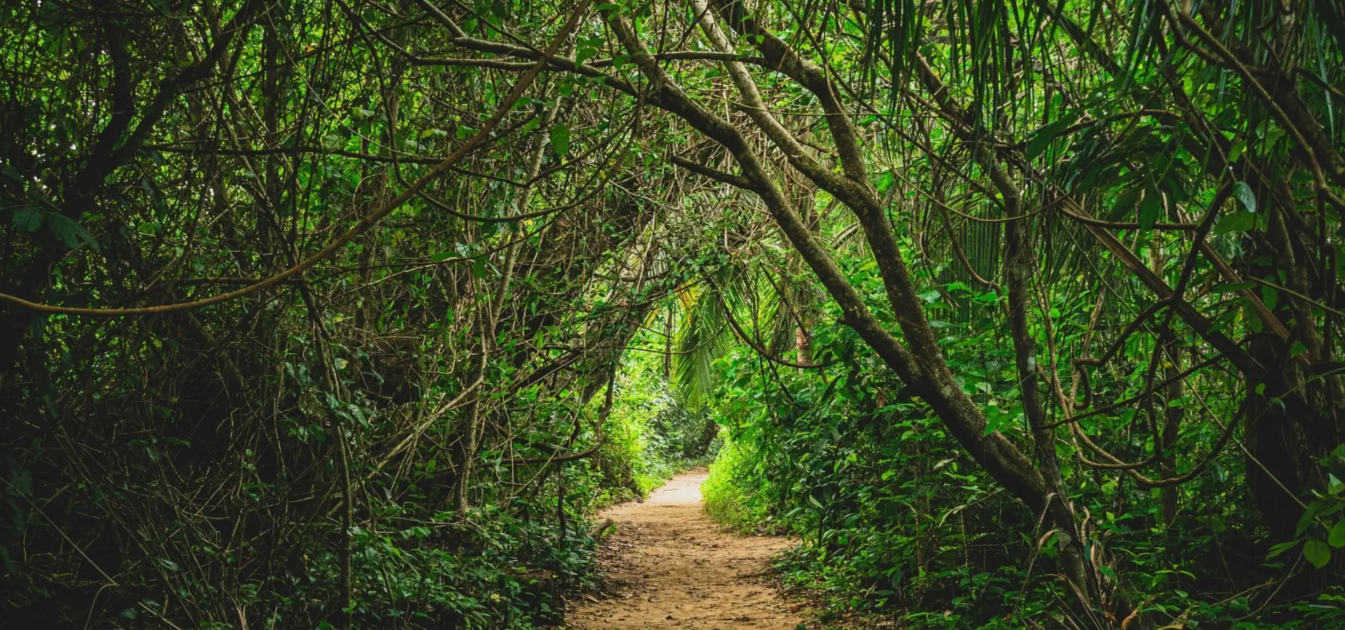 1767712519445etienne delorieux k5uuedhbpic unsplash
