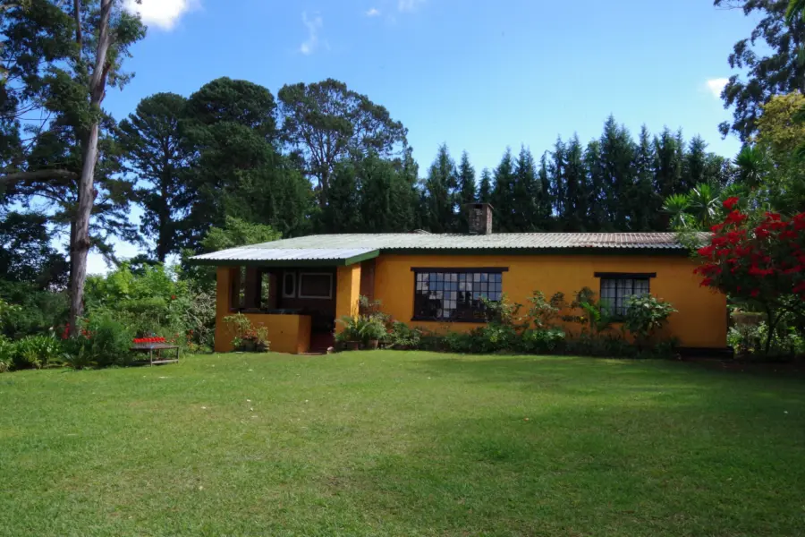 Imgp1482