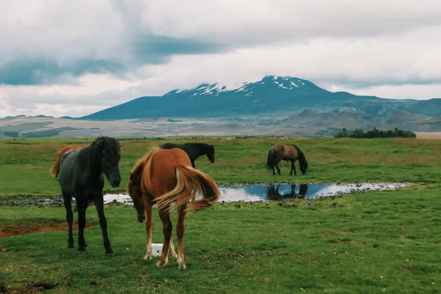 Mount hekla