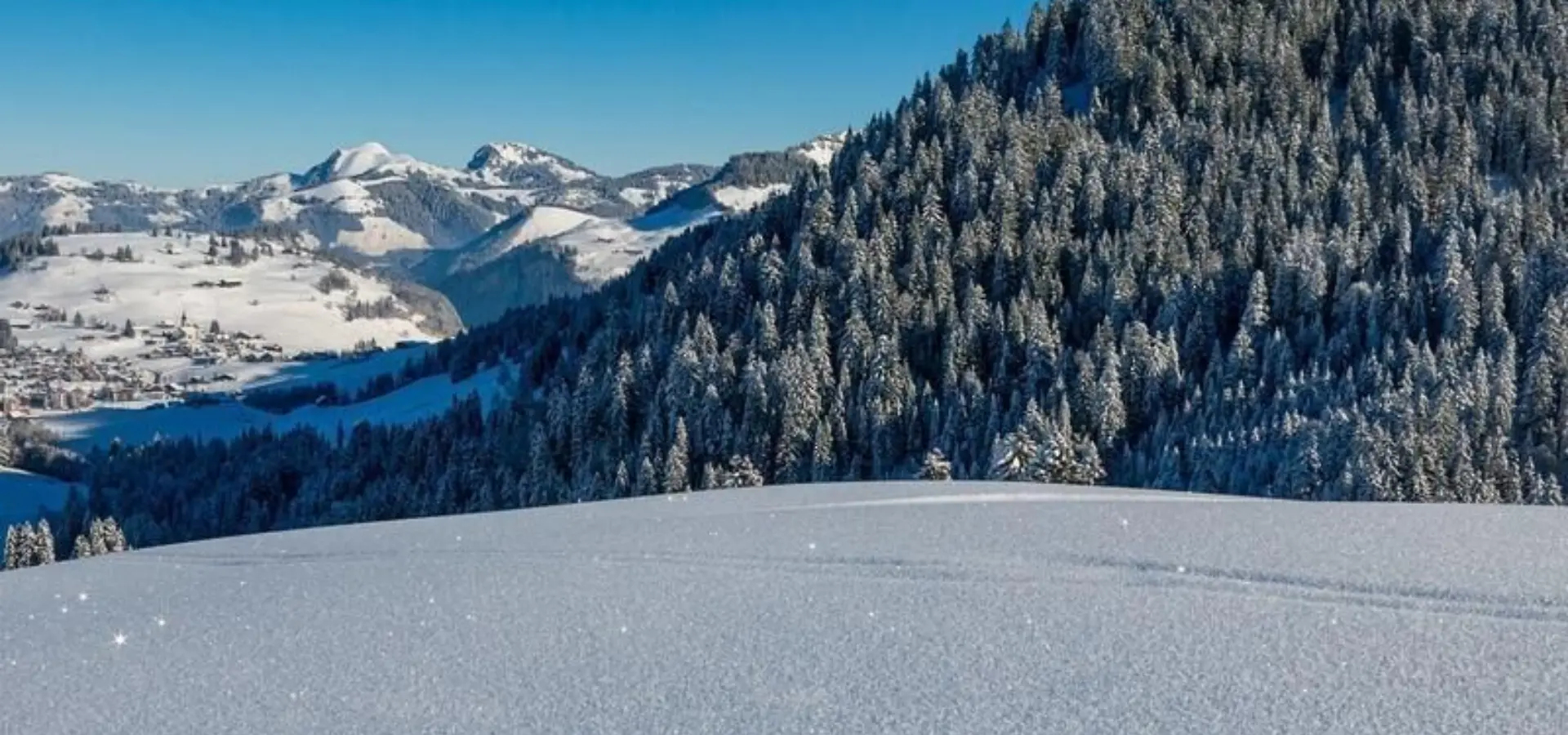 1769157696872mountains 468226612801