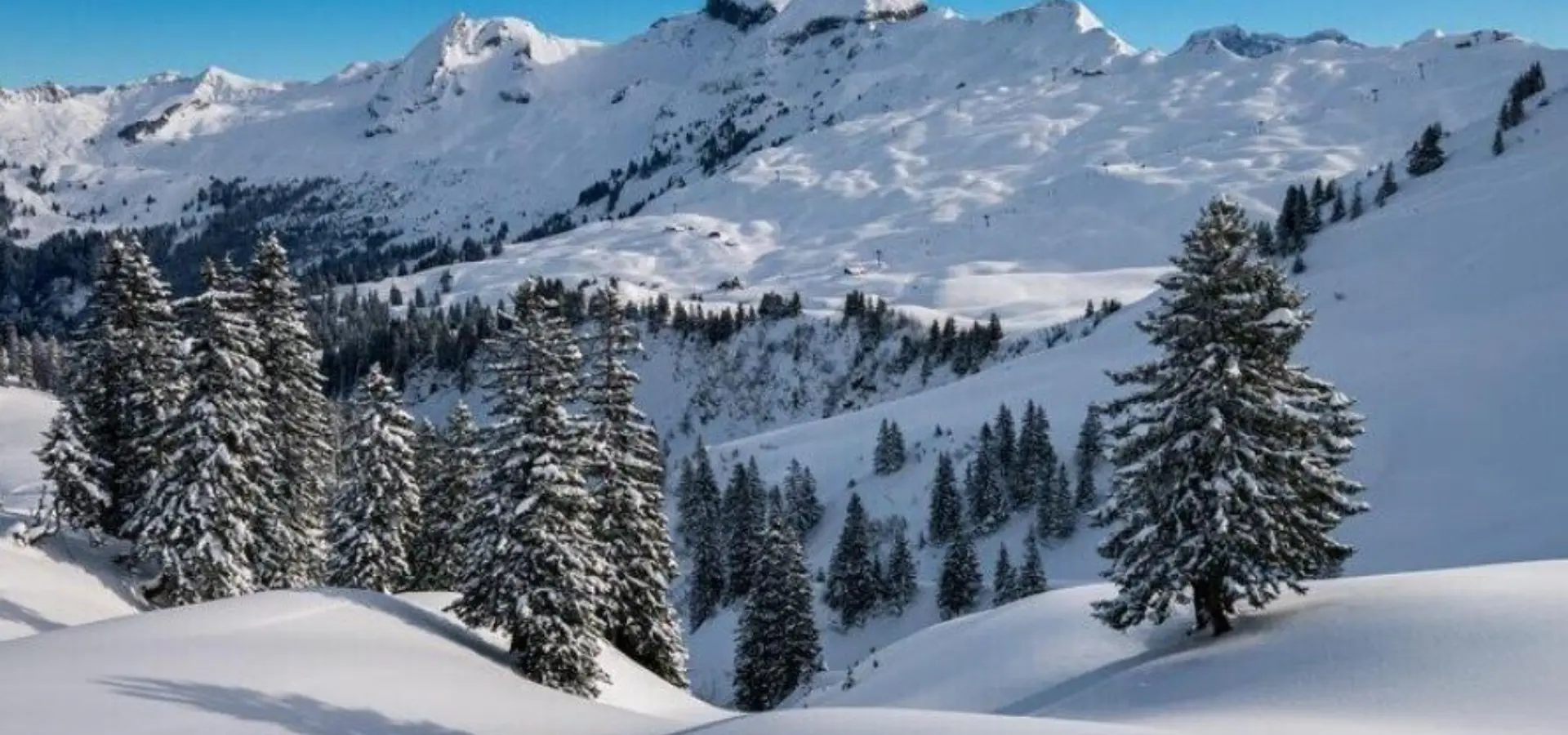 1769157085536winter 469777612801