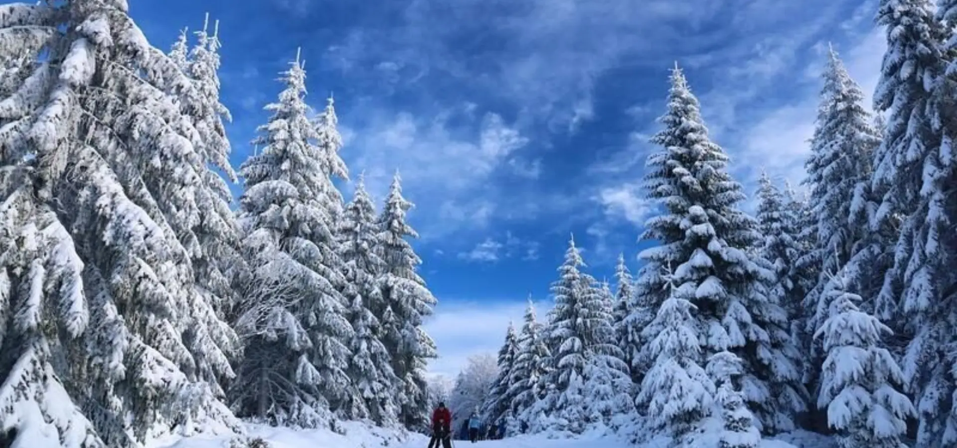 1769157696873skiing 587872912801