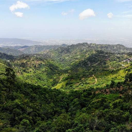 Blue Mountains in Jamaica