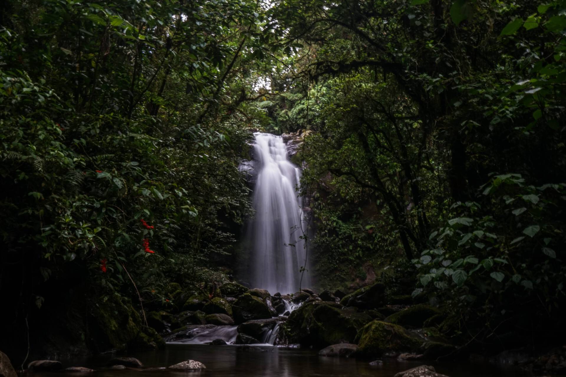 Boquete Panama