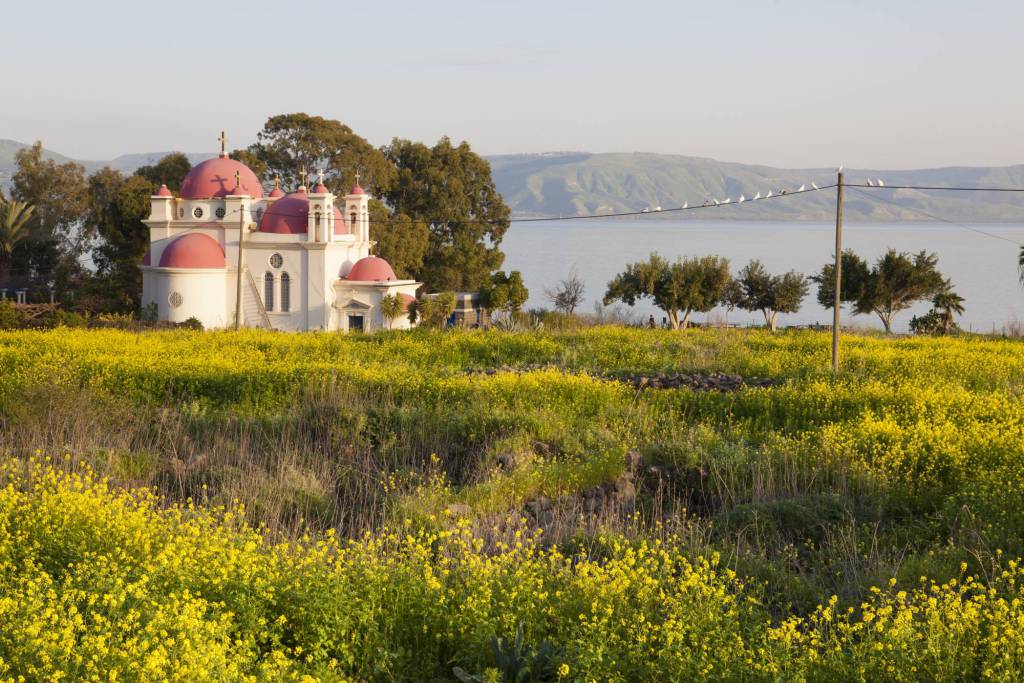 Capernaum - Galilee - Israël