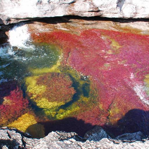 Caño Cristales