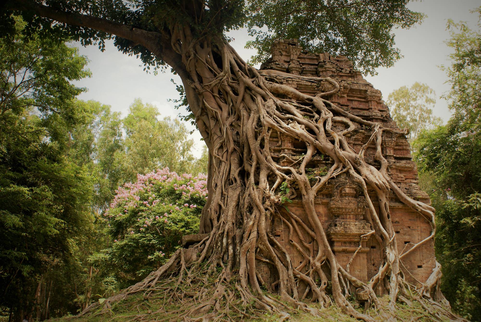 sambor_prei_kuk_temple_cambodja