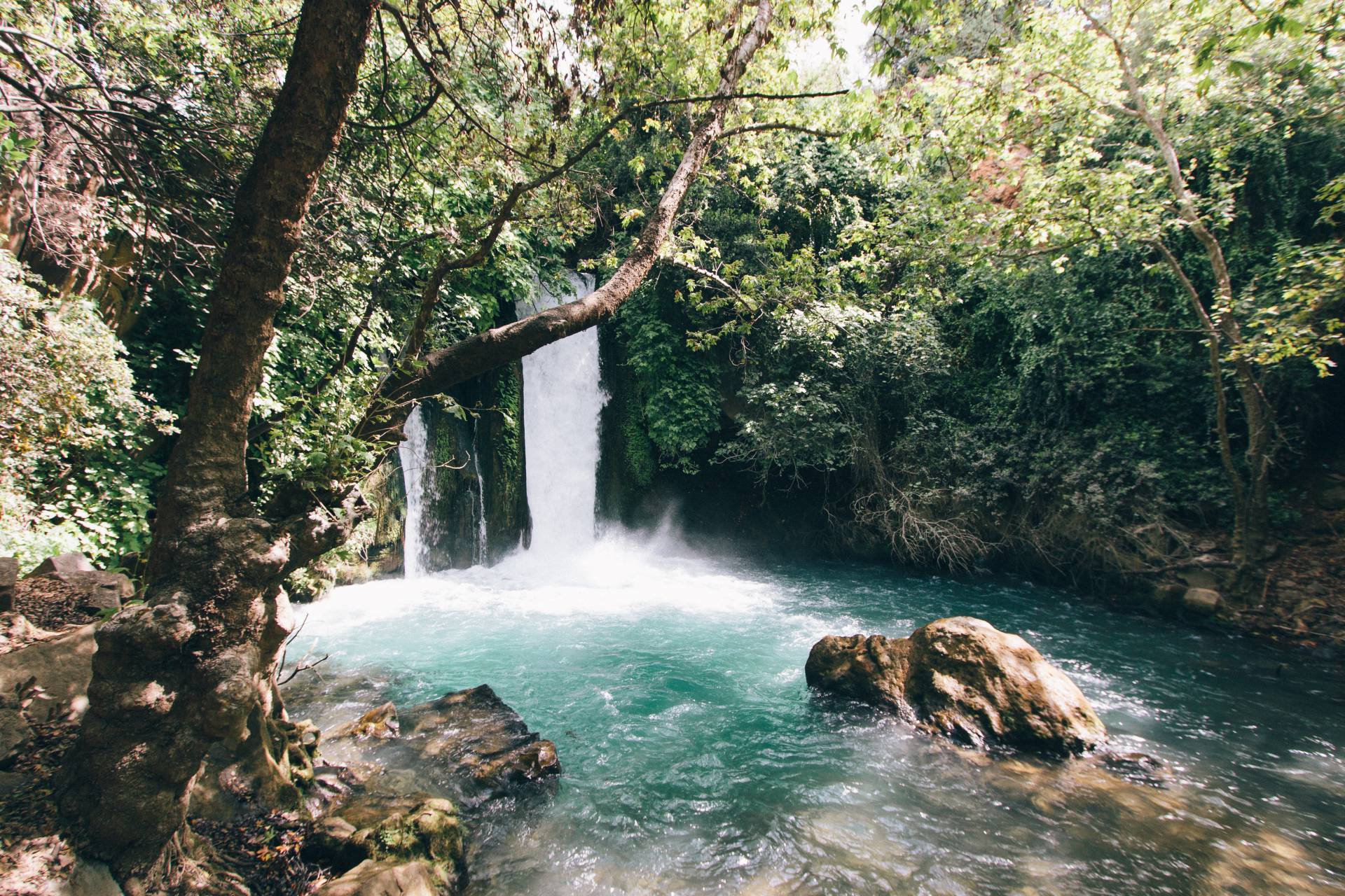 Ein Gedi Oasis Israel