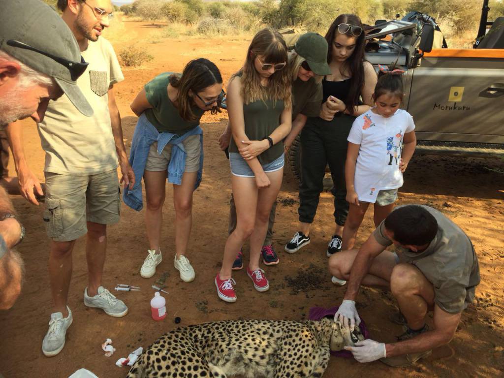 Morukuru Family Madikwe