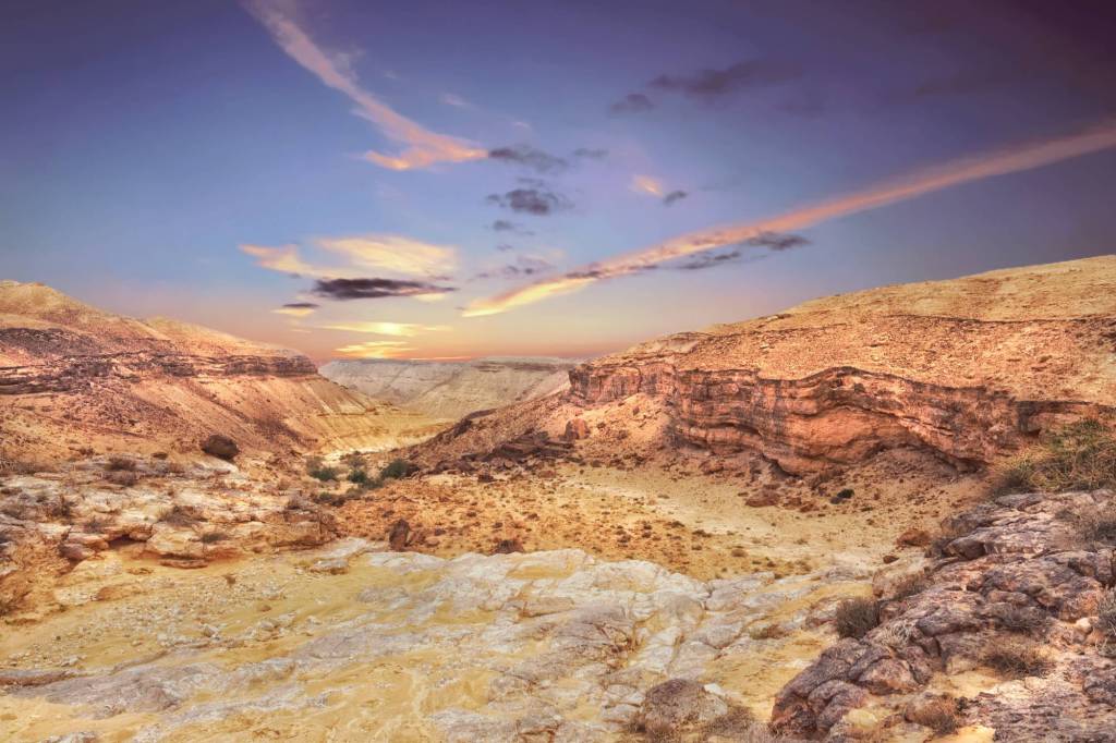 Negev Israël