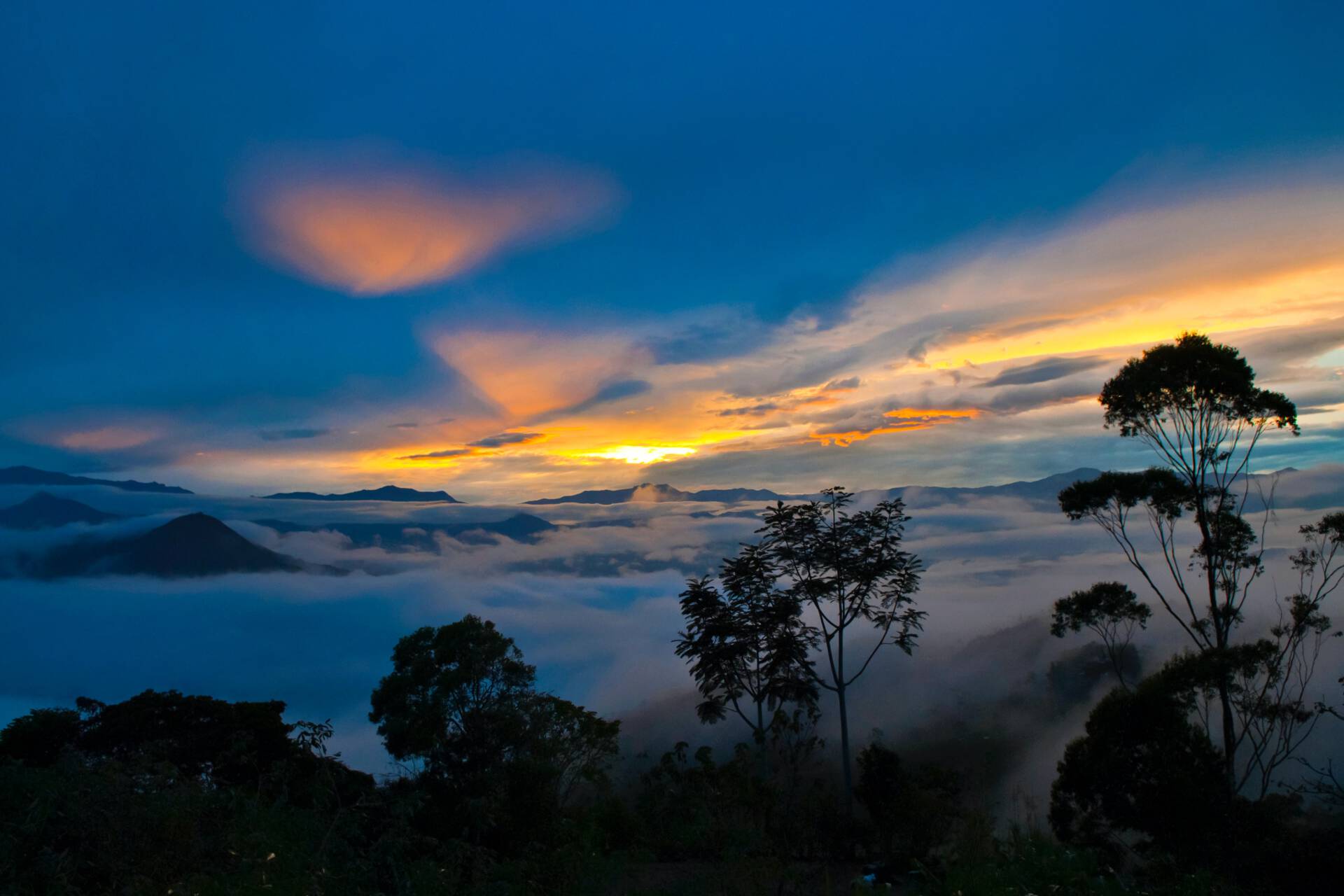 Nevelwoud in Ecuador