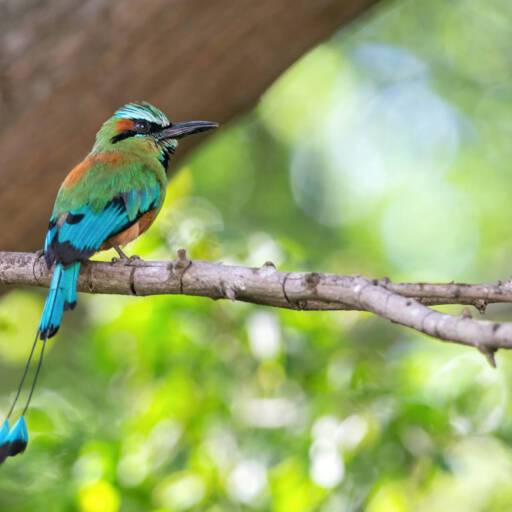 Nicaragua