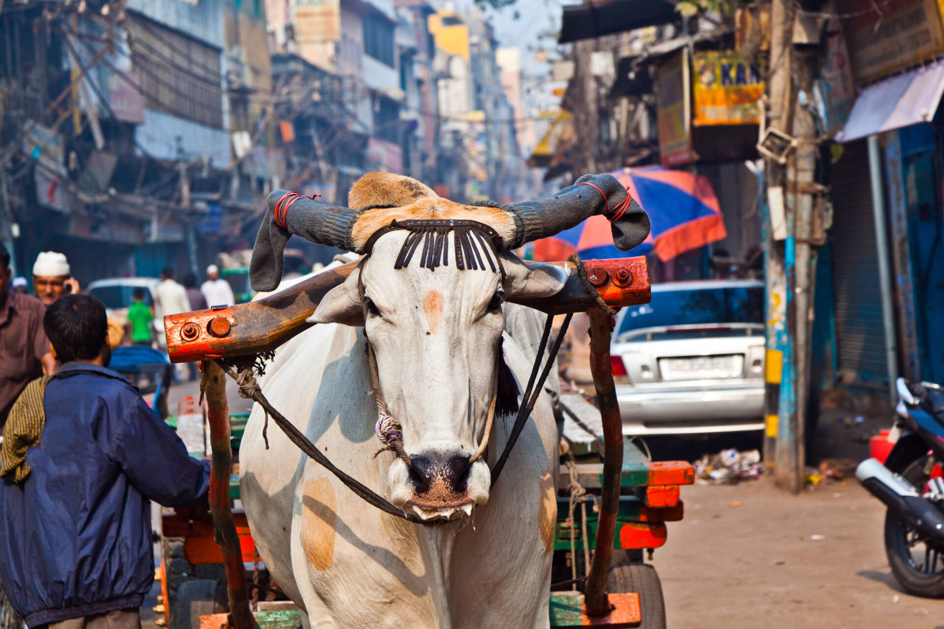 Old Delhi