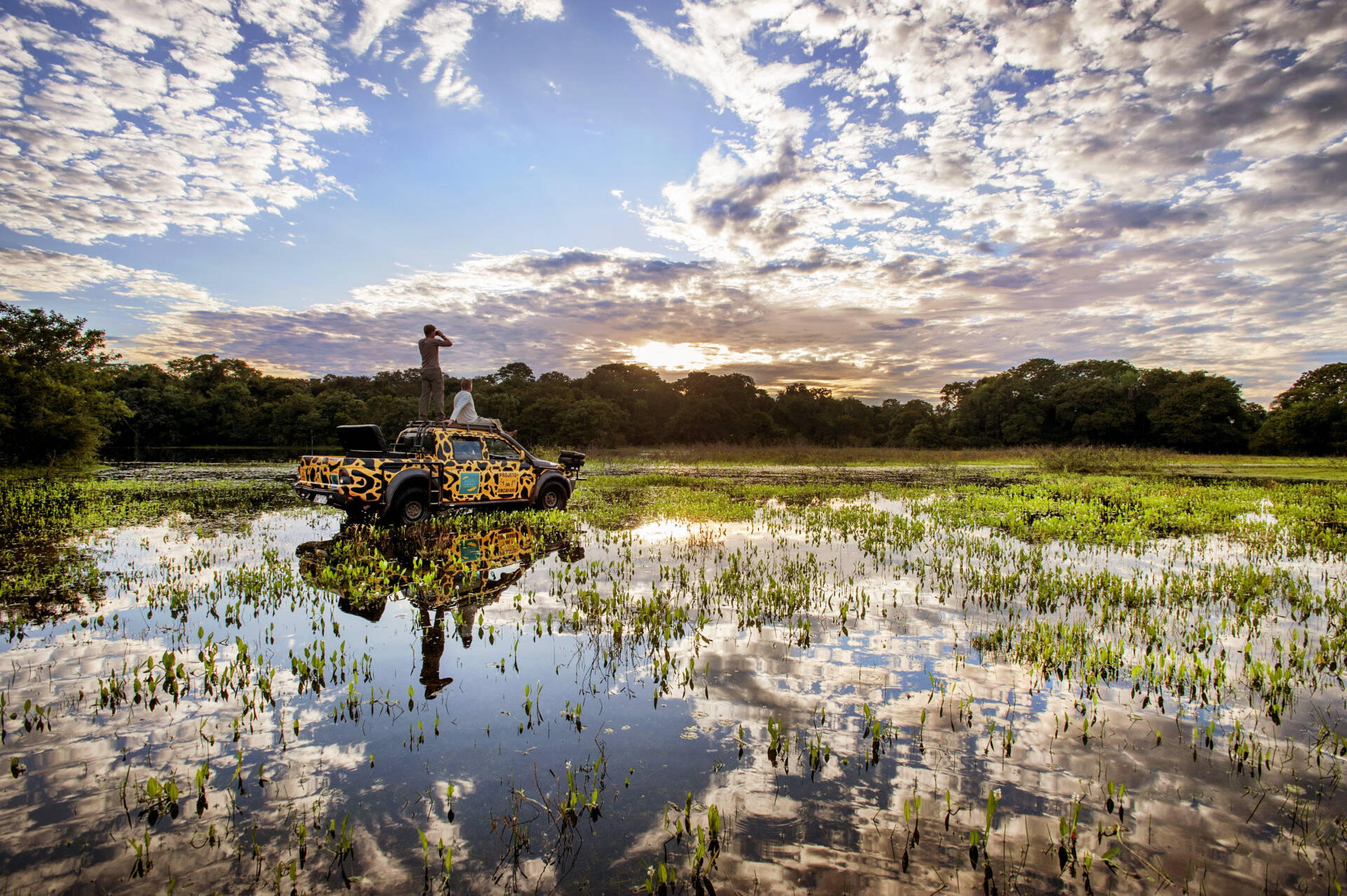 Landschap in de Pantanal, gemaakt door Raymond Rutting