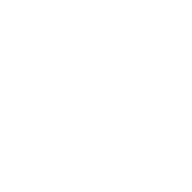Serandipians Certification