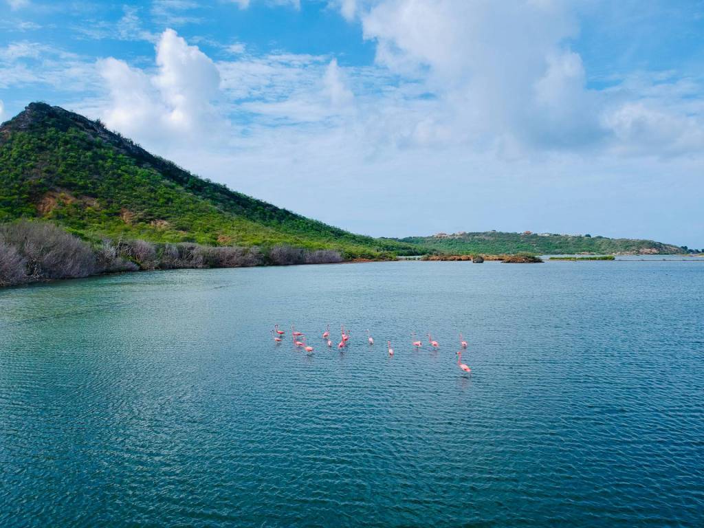 St Michiel Curacao