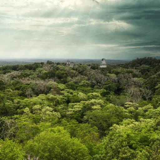 Tikal Nationaal Park