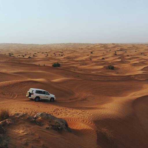 Desert experience in Dubai