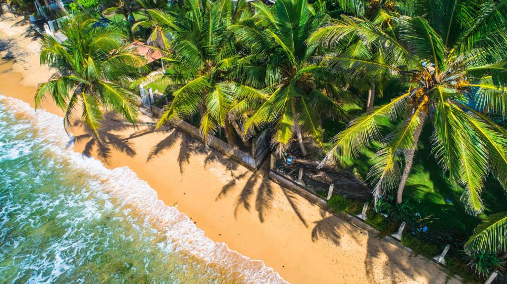 Avila Reizen - Sri Lanka